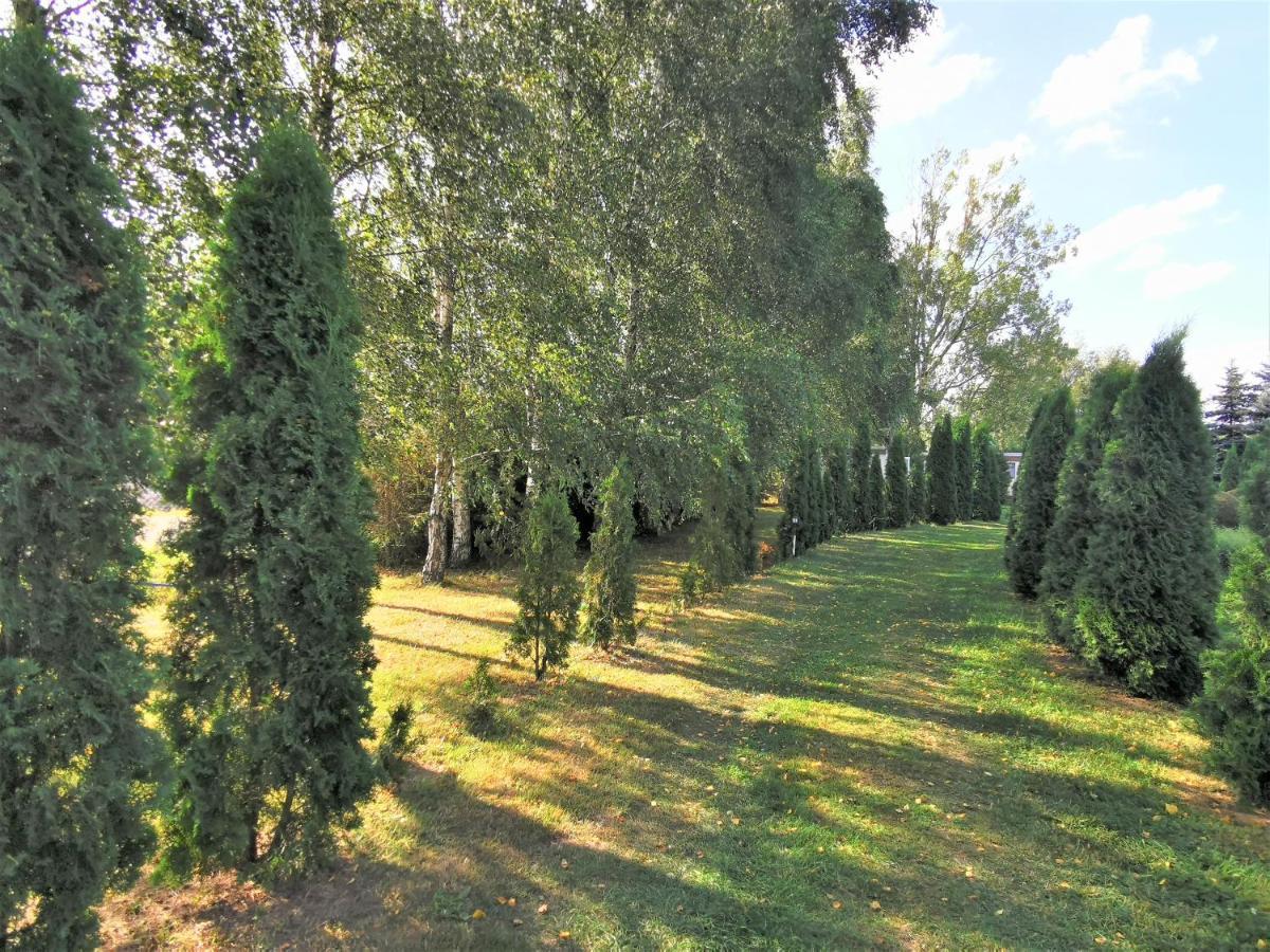 Brzozowe Zacisze Villa Łagów Dış mekan fotoğraf